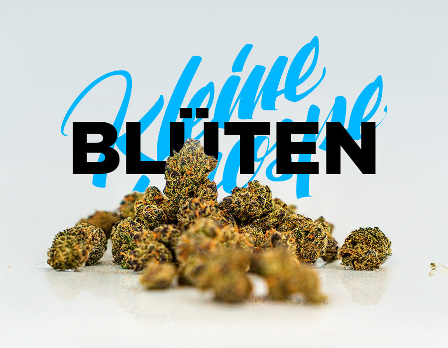 Cannabis Blüten